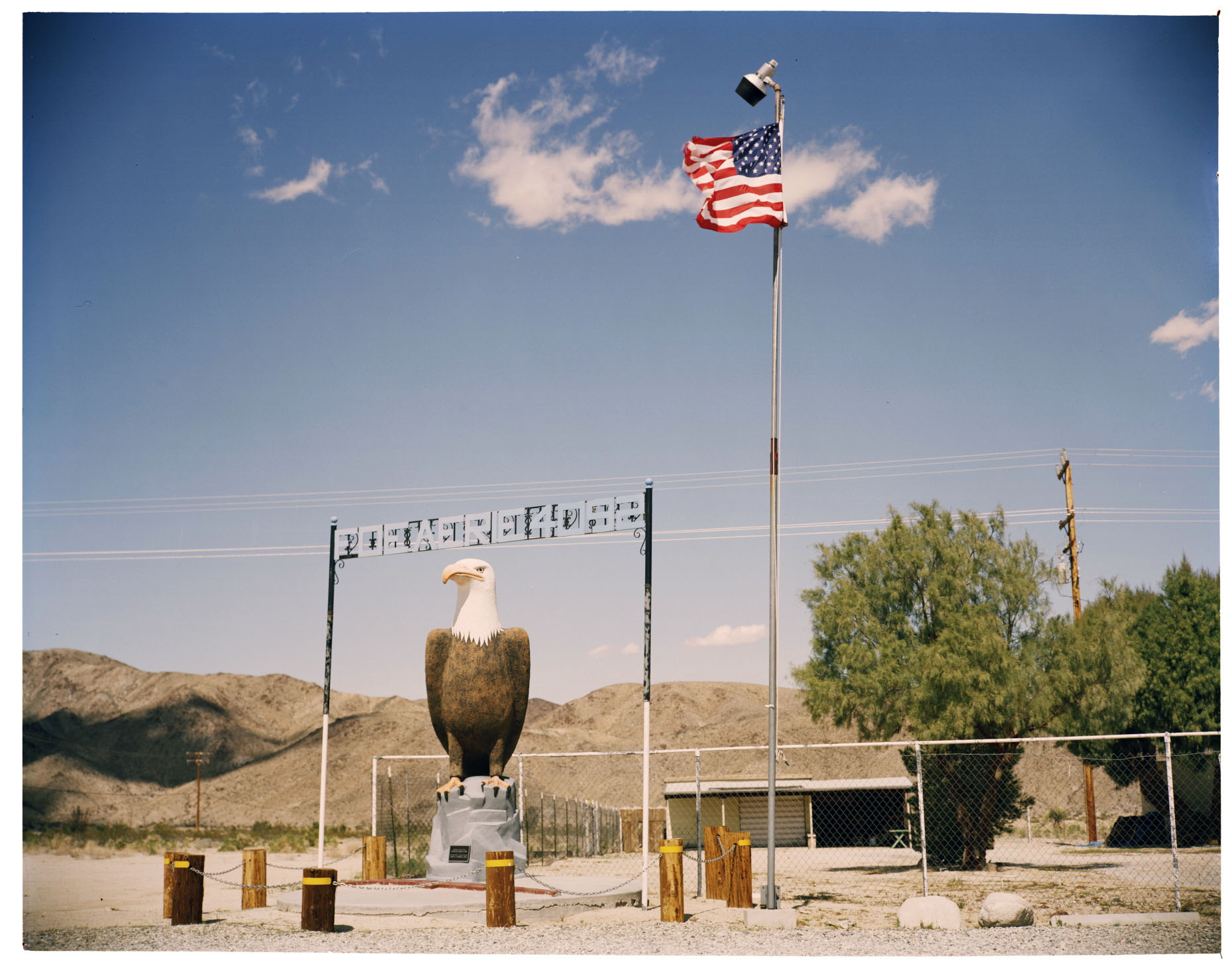 Americana eagle flag