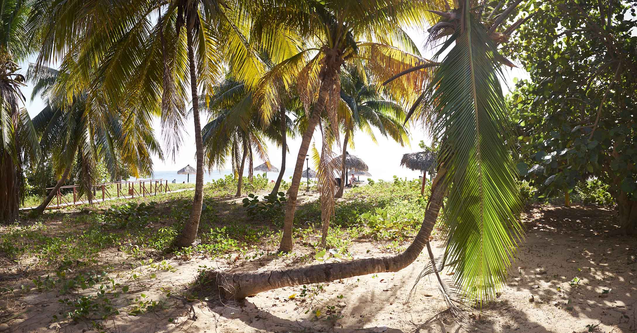 Playa Aron Trinidad_Panorama1
